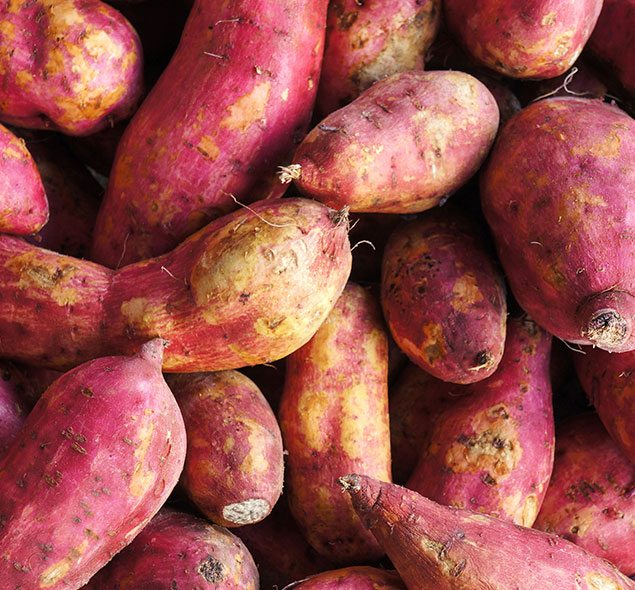 CONHEÇA OS BENEFÍCIOS DA BATATA DOCE