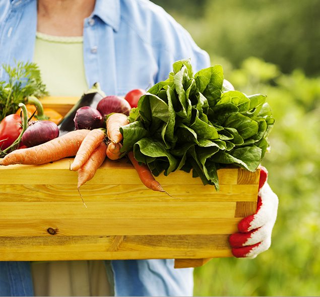 10 RAZÕES PARA CONSUMIR ORGÂNICOS