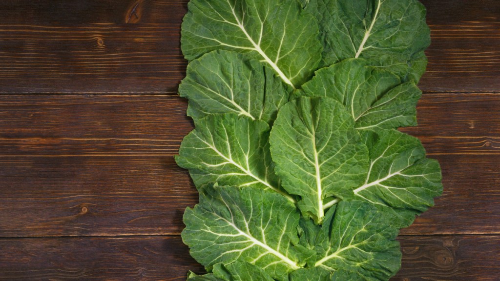 Benefícios da couve