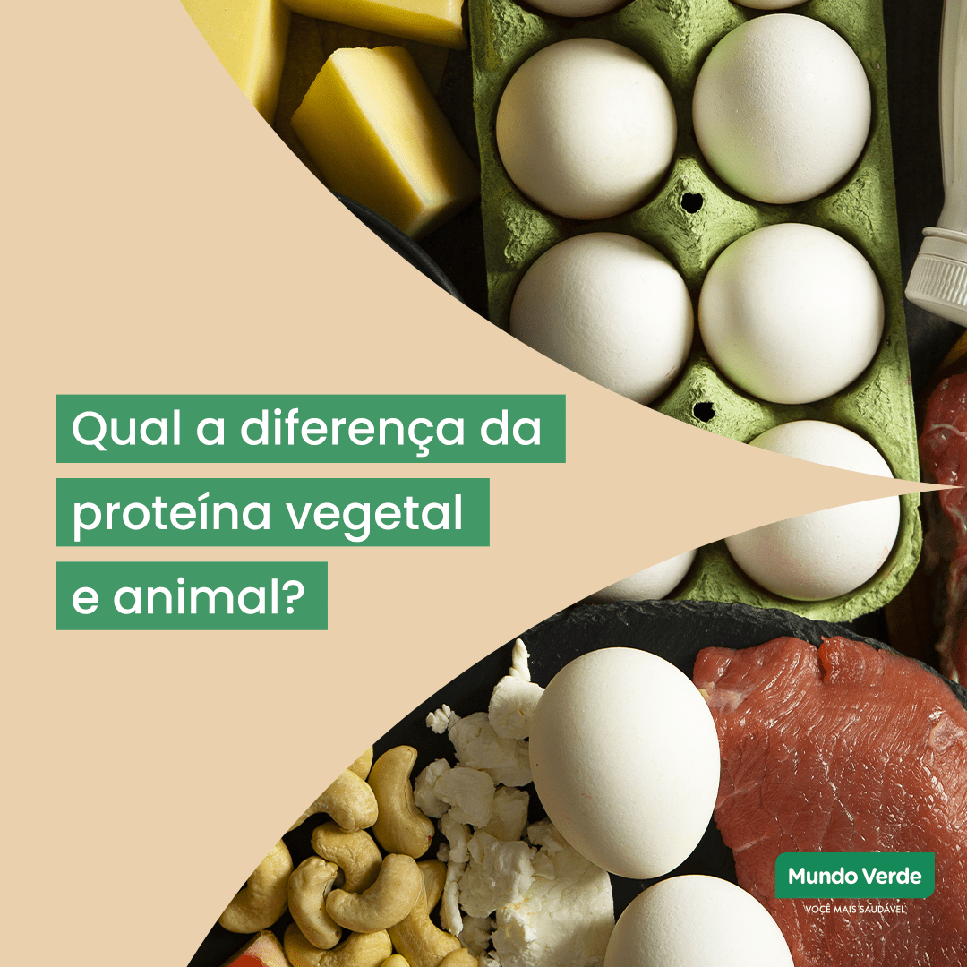 Qual a diferença da proteína vegetal e animal?