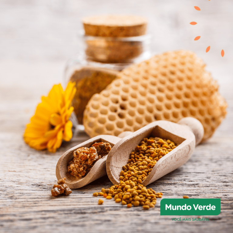 Close em colheres de madeira com própolis e pólen, ao lado de favo de mel, flor e pote de vidro, representando os benefícios dos produtos apícolas naturais.