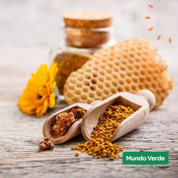Extrato de Própolis: entenda os tipos, benefícios e como utilizar
