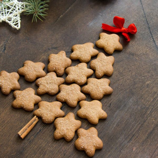 biscoito de gengibre vegano